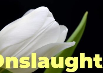 Onslaught Yayınlandı, Ön İncelemesi Nasıl?