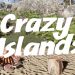 Crazy Islands Yayınlandı, Ön İncelemesi Nasıl?