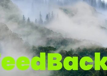 FeedBack Yayınlandı, Ön İncelemesi Nasıl?