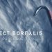 Project Borealis: Prologue Yayınlandı, Ön İncelemesi Nasıl?