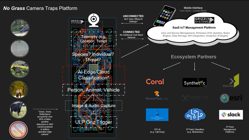 A workflow showing pictures of animals, representing data the GrizCam picks up, and, next to those images, a sketch representing how the GrizCam hardware and software process that data and share it with cloud-based LLMs for analysis.