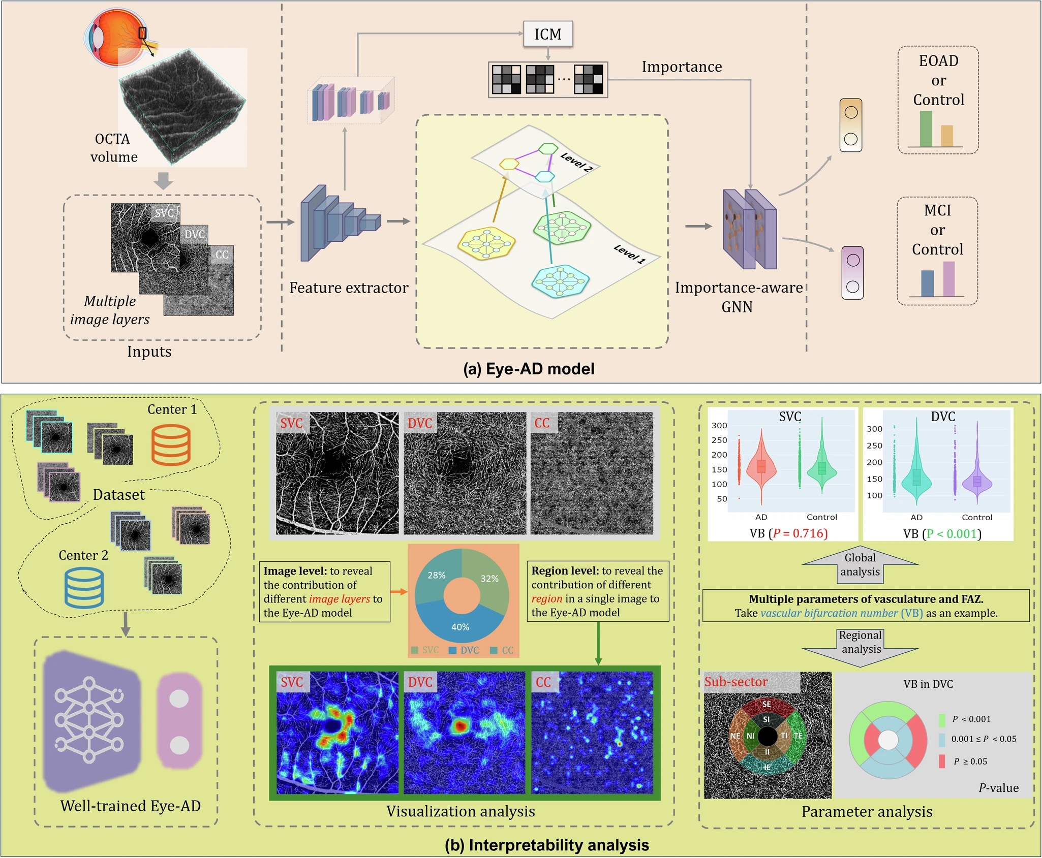 A diagram showing the workflow of Eye-AD GNN, CNN to detect disease in retinal OCTA images.