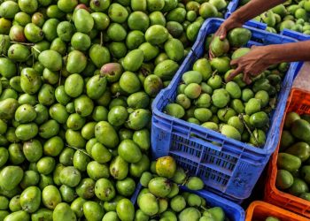 Lightspeed, Wheelocity ile kırsal Hindistan ticaretine odaklanıyor