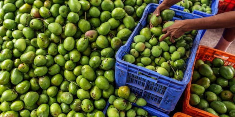 Lightspeed, Wheelocity ile kırsal Hindistan ticaretine odaklanıyor