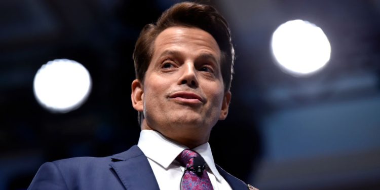 FTX iflas malvarlığı Anthony Scaramucci ve FWD.us’a dava açtı.