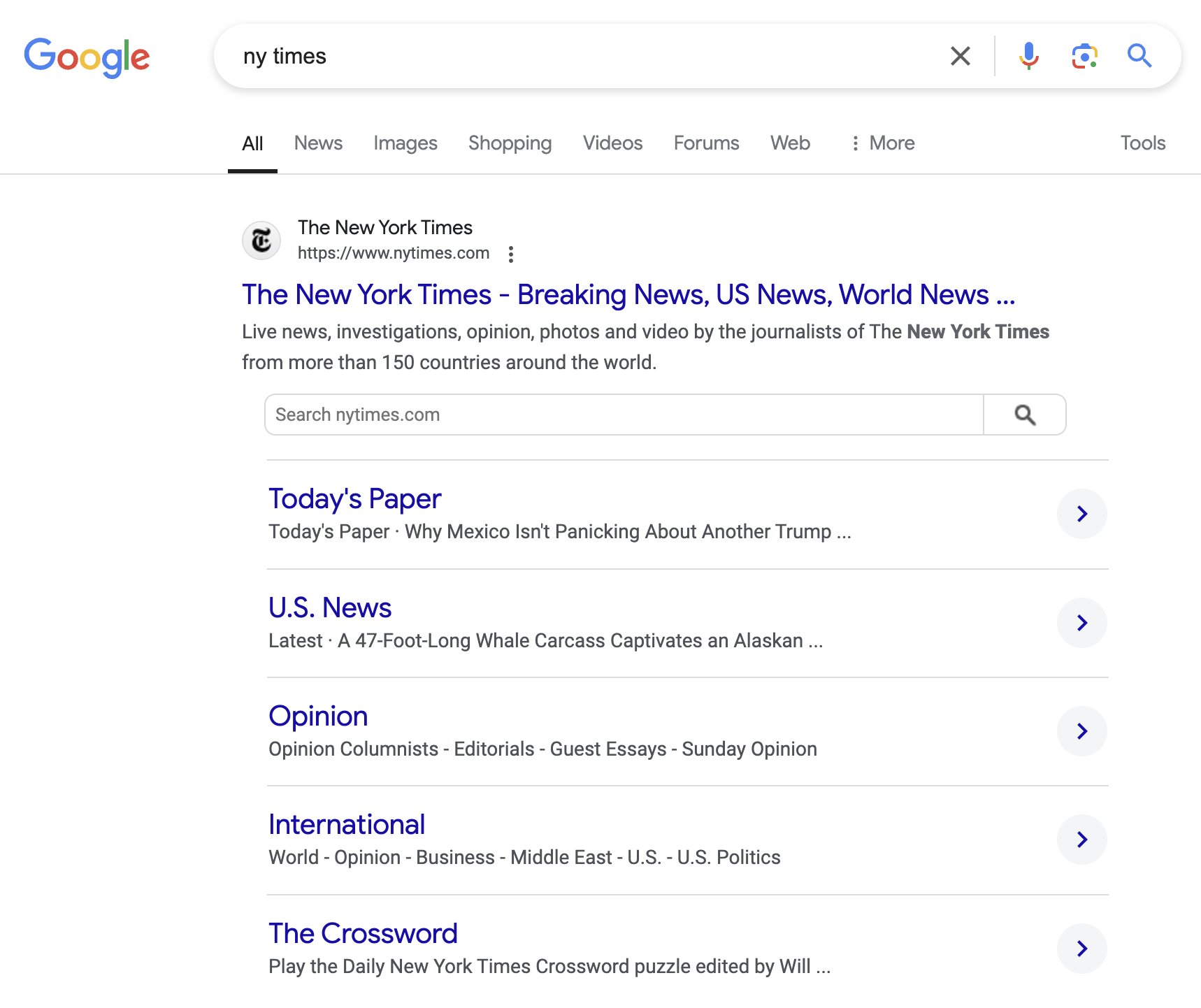 Google Sitelinks Search Box