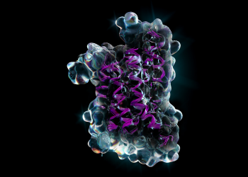 “GPU Destekli MMseqs2 ile Alphafold2 Protein Yapı Tahminini Geliştirin”