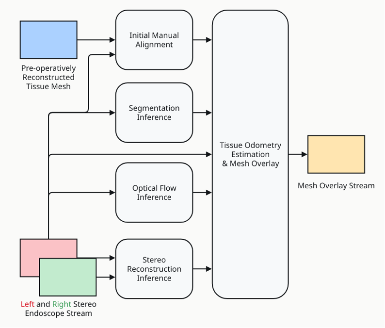 Flow chart diagram shows the algorithmic components that track the target tissue's surface mesh using the endoscope's left and right image streams. Together with the initial pose for the registered surface mesh, these results are used to estimate tissue odometry, transform the mesh, project it to 2d, and visualize the camera stream with the mesh overlay.