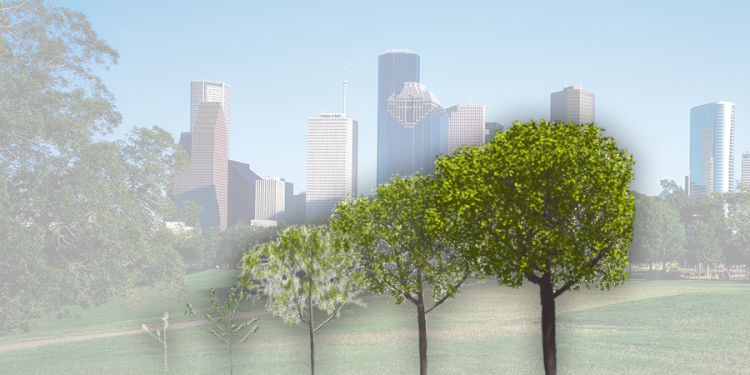 AI Gücünde Dijital İkizler ile Kent ağaçlarının izlenmesinin ilerletilmesi