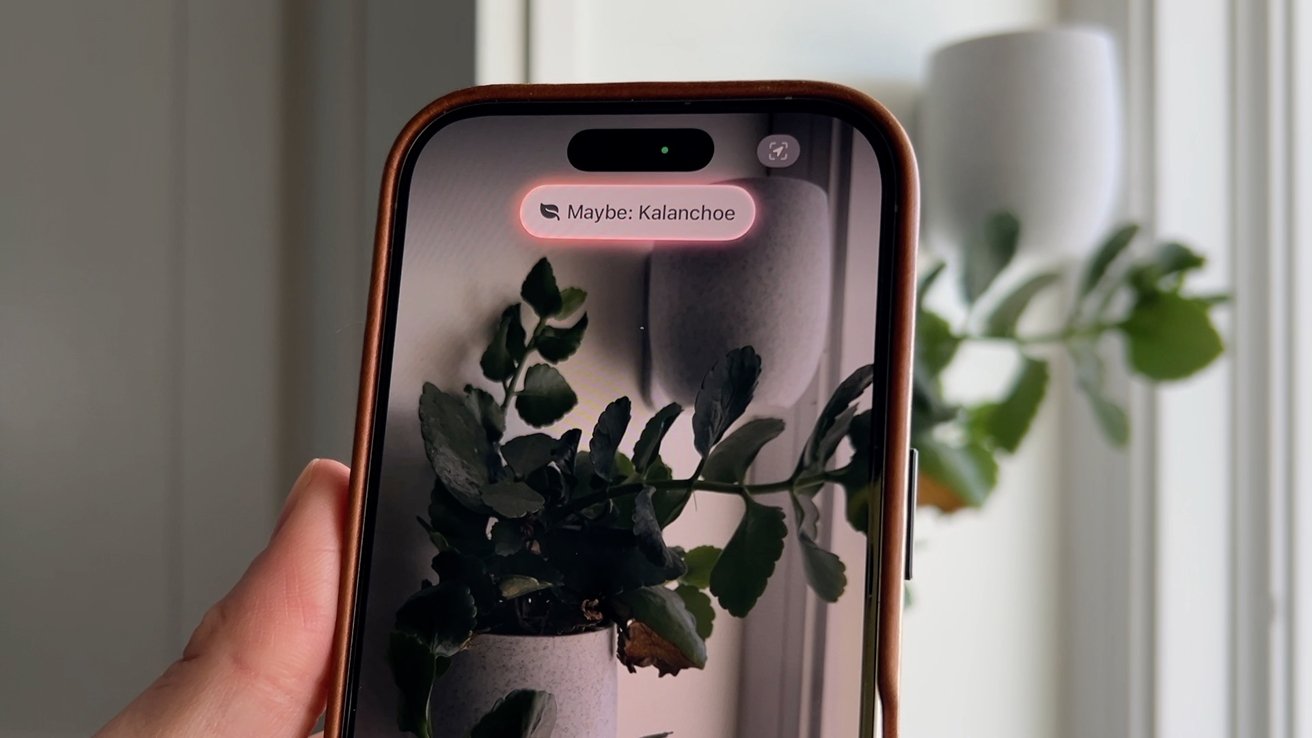 A hand holds a smartphone displaying a plant, identified as 'Maybe: Kalanchoe,' with the actual plant visible in the background.