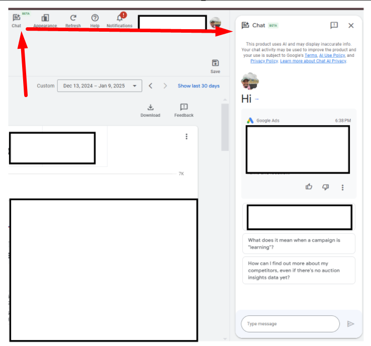 Google Ads Chat