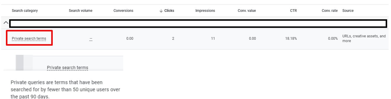 Google Ads Private Search Term Category