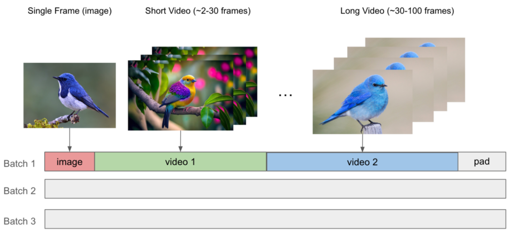 The diagram shows how a single frame, a short video of 2-30 frames, and a long video of 30-100 frames are batched with a pad for training.