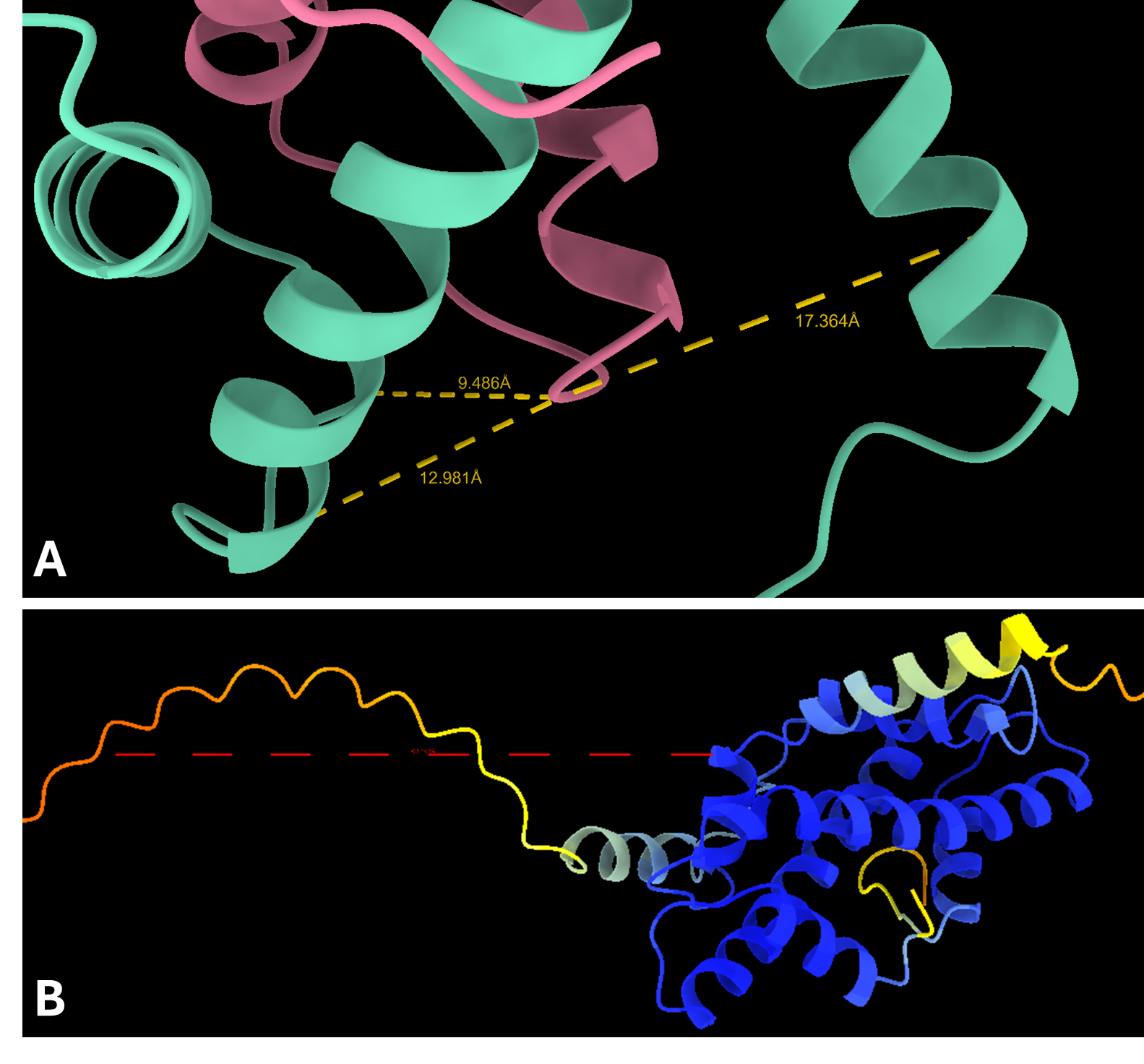 Two views of the linkers of the predicted complex structure, one showing validated linkers, the other showing linkers with different confidence levels.