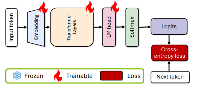 A workflow diagram shows multiple steps: input token, embedding, transformer layers, LM head, Softmax, Logits, cross-entropy loss, and next token. Steps are marked as trainable or loss.