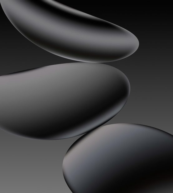 pixel_10_pro_obsidian_light_mysticleaks-555x619-1 Pixel 10 Pro obsidian light MysticLeaks