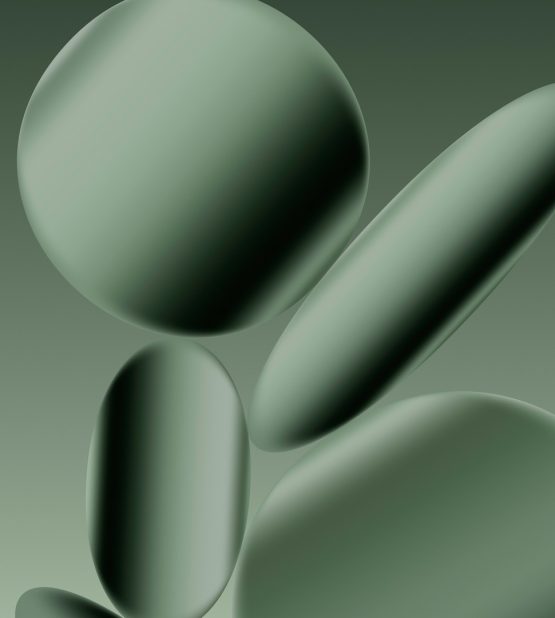 pixel_10_pro_xl_green_dark_mysticleaks-555x618-1 Pixel 10 Pro XL green dark MysticLeaks