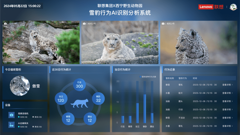 AI-powered Snow Leopard Behavior Recognition & Analysis System