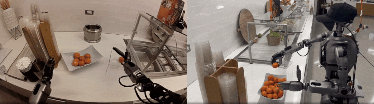 humanoid-robot-placing-fruit-in-bowl Side-by-side videos showcasing a humanoid robot placing a tangerine fruit in a bowl from a first-person perspective and a third-person perspective.