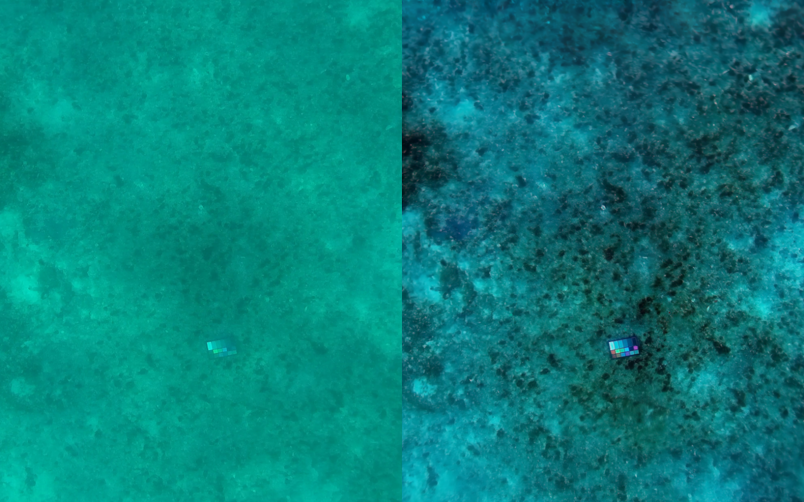 reef-fig-1 Two side-by-side underwater images, one on the left shows a hazy blue-green image with a small cube in the middle while the right image of the same underwater shot is clearer, showing a Rubik's Cube-like object with colors that are clear and bright.