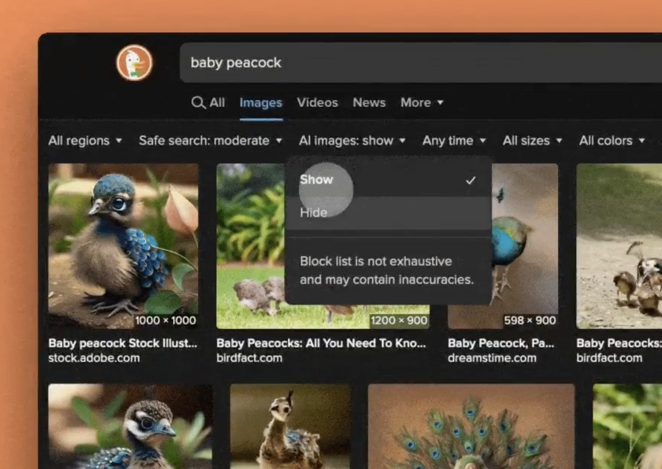 duckduckgo-ai-filter a screenshot showing the new setting in DuckDuckGo's browser, which lets users switch off AI images in search results.