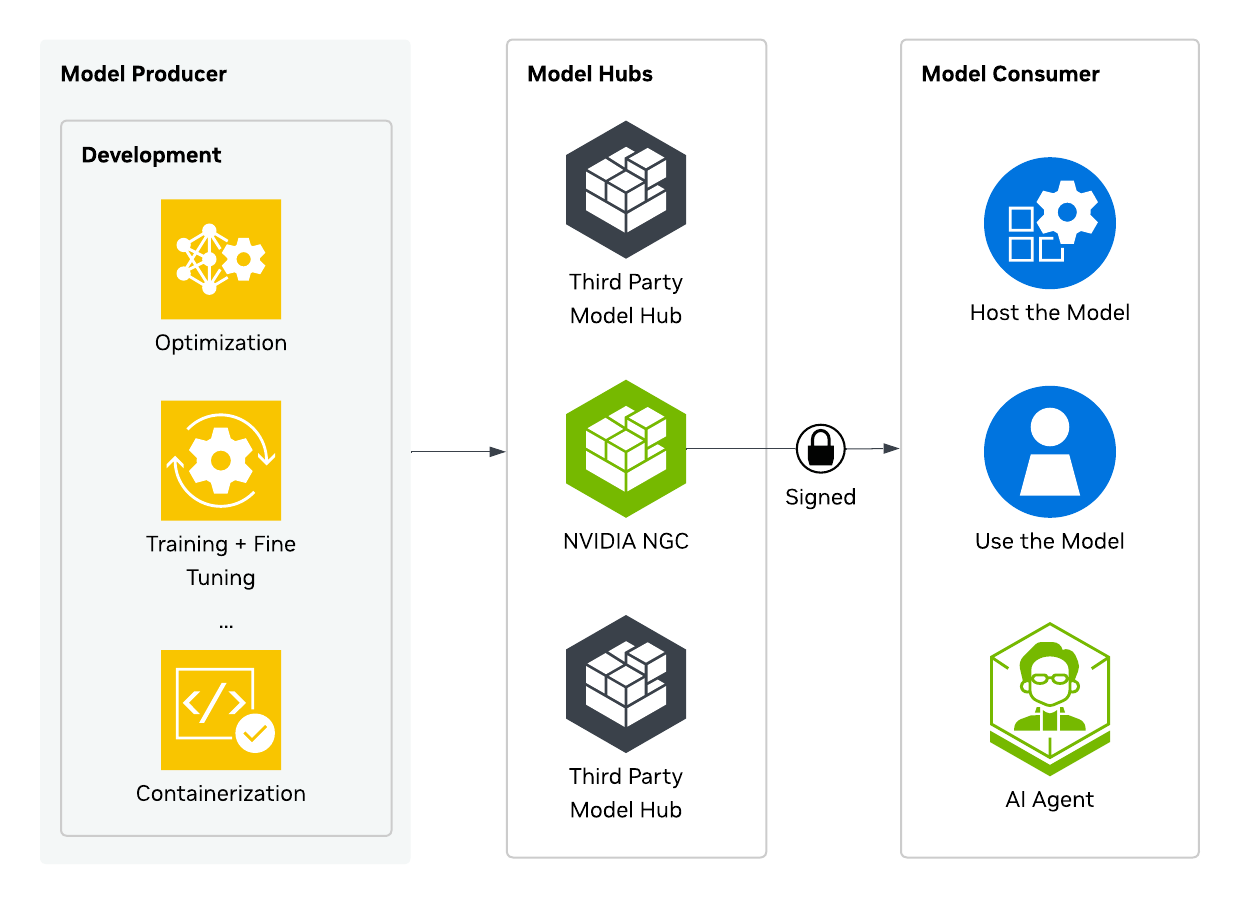 Diagram showing how models are developed, signed, and distributed through the NGC Catalog. On the left, a model undergoes training, optimization, and packaging. Before publication, it is signed using the OMS standard. The signed model is then made available in the NGC Catalog. On the right, consumers—including developers, APIs, and platforms,—verify the model signature using NVIDIA’s public certificate before deployment.