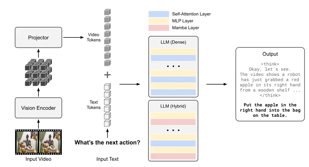 A diagram showing the Cosmos Reason architecture. The input video and text prompt are tokenized and concatenated and passed into the LLM backbone. The model outputs responses in natural language based on long chain-of-thought reasoning.