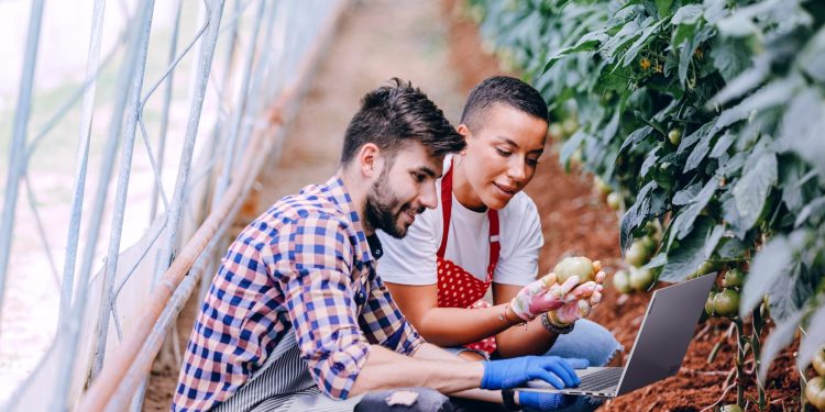 “Dayanıklı Tasarım: Lenovo’nun Sürdürülebilir Tasarıma Yönelik Akıllı Yaklaşımının İçinde”