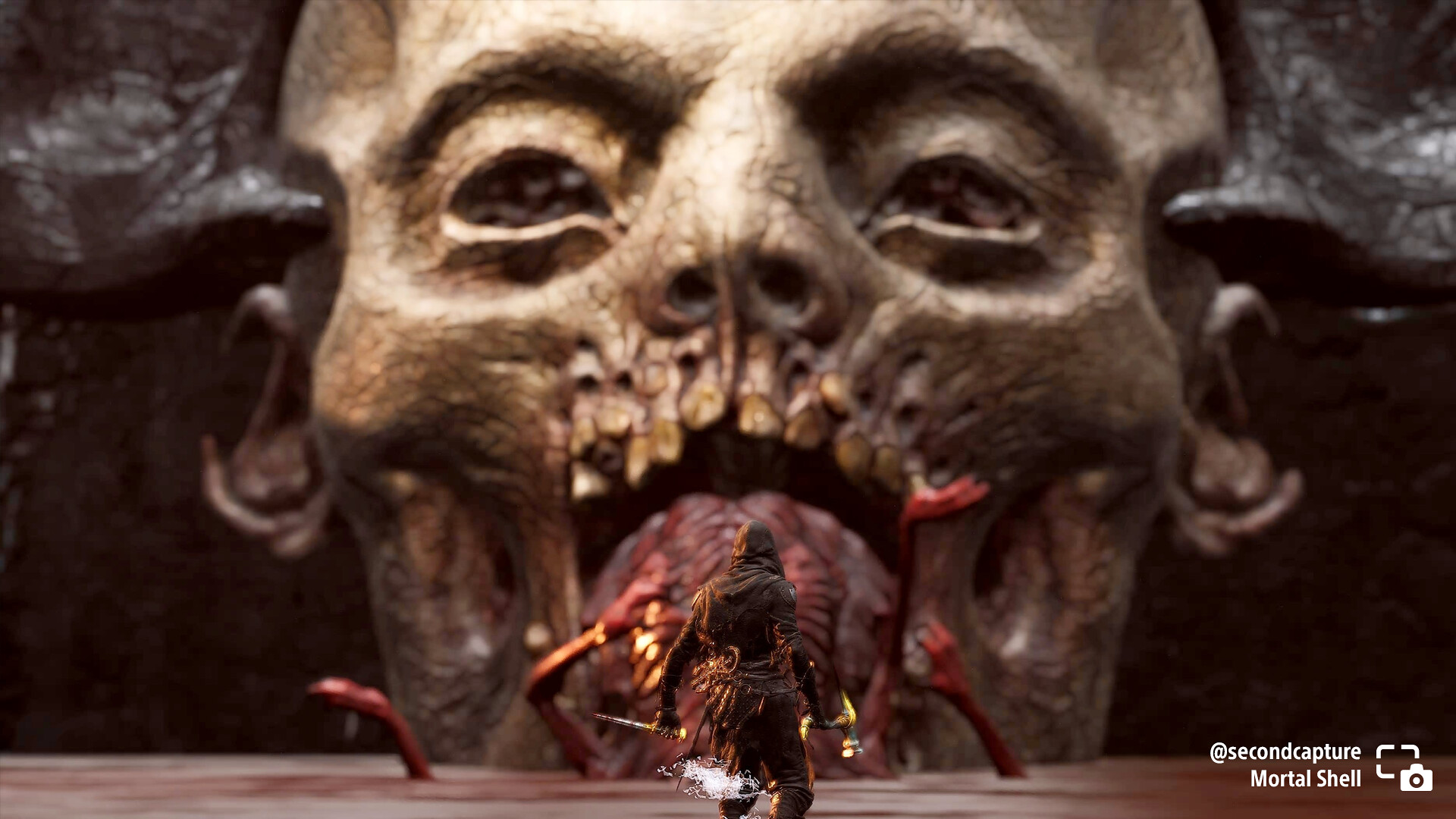 54890383750_a36d609bdf_k