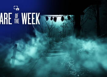 “Haftanın Paylaşımı: Korkutucu”