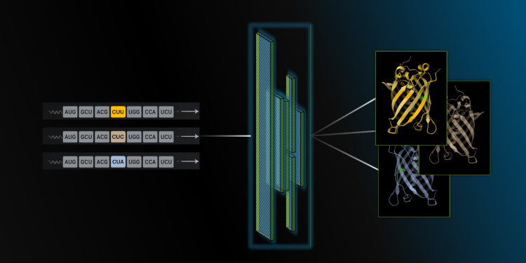 RNA Tasarımı ve Analizi için CodonFM Açık Modeli: Yeni Bir Giriş