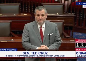 Ted Cruz, tüm Amerikalıları kapsayan gizlilik yasasını engelledi.