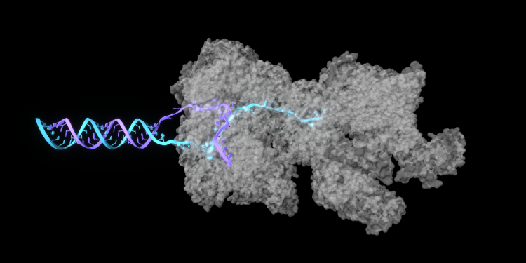 “OpenFold3 NIM Kullanarak Biyomoleküler Yapıları Nasıl Tahmin Edilir?”