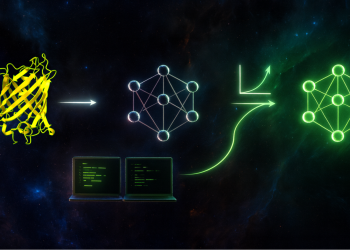 PyTorch ve NVIDIA BioNeMo Tarifleri ile Biyoloji Dönüşüm Modellerini Ölçeklendirin