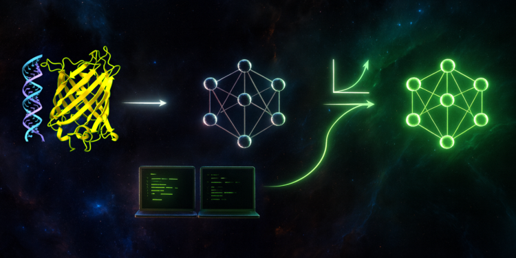PyTorch ve NVIDIA BioNeMo Tarifleri ile Biyoloji Dönüşüm Modellerini Ölçeklendirin